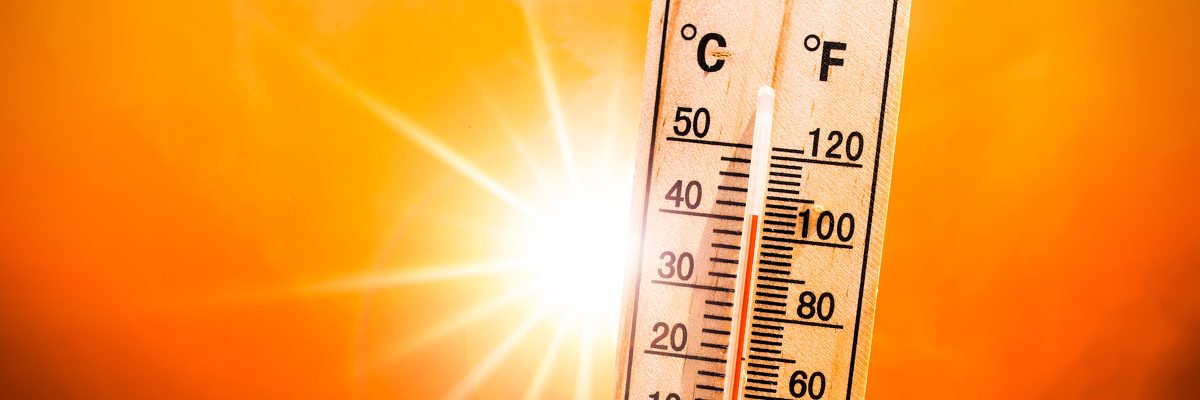 Lire la suite à propos de l’article Port du T-shirt autorisé dans nos EHPAD